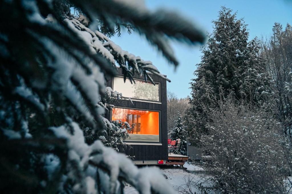 a train traveling through a snow covered forest with a tree at Tiny House Nature 16 - Green Tiny Village Harz in Osterode