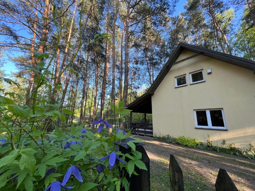 a house in the woods with purple flowers at Kurort Mirowice in Mirowice