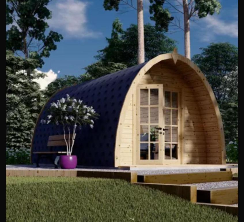 Una casa abovedada de madera con una ventana en un patio. en Eco house in the Valley, en Murcia