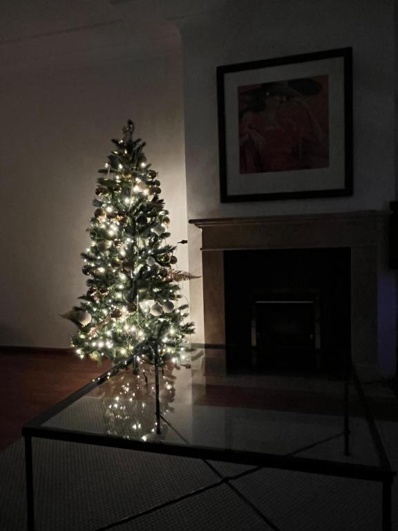 a christmas tree in a living room with a fireplace at Franciscus in Bergen op Zoom