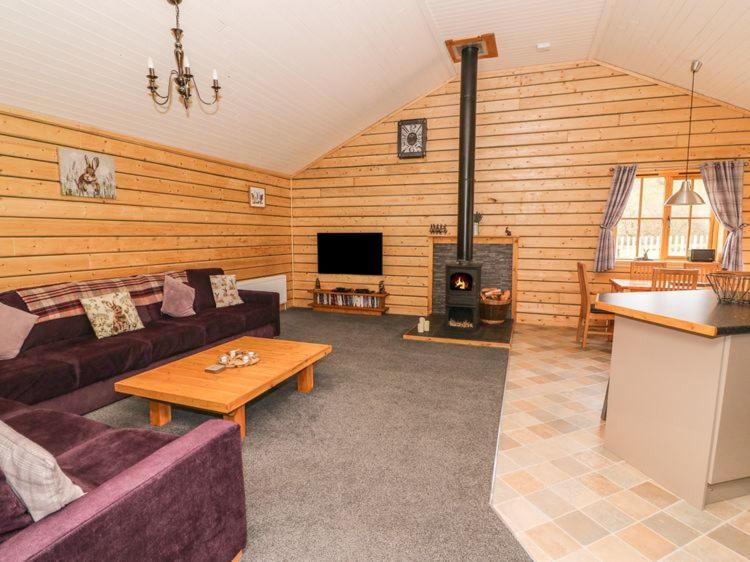 Μια τηλεόραση ή/και κέντρο ψυχαγωγίας στο Alpaca cabin-mountain view-hot tub-rural retreat