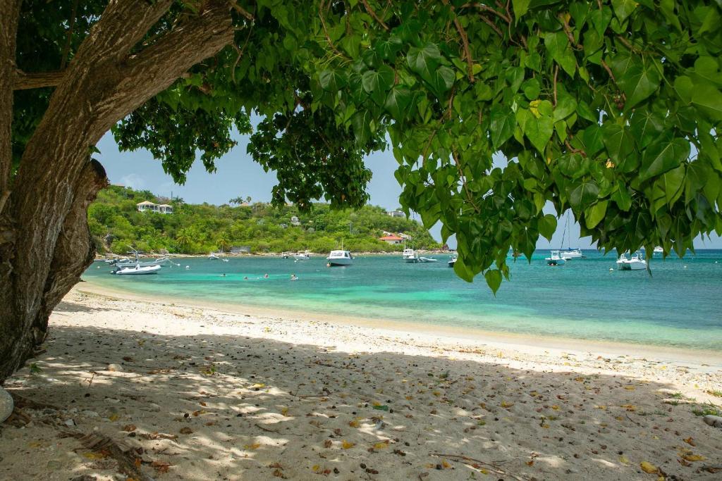 Nautilus-Beach Front Family Friendly Prime Locale
