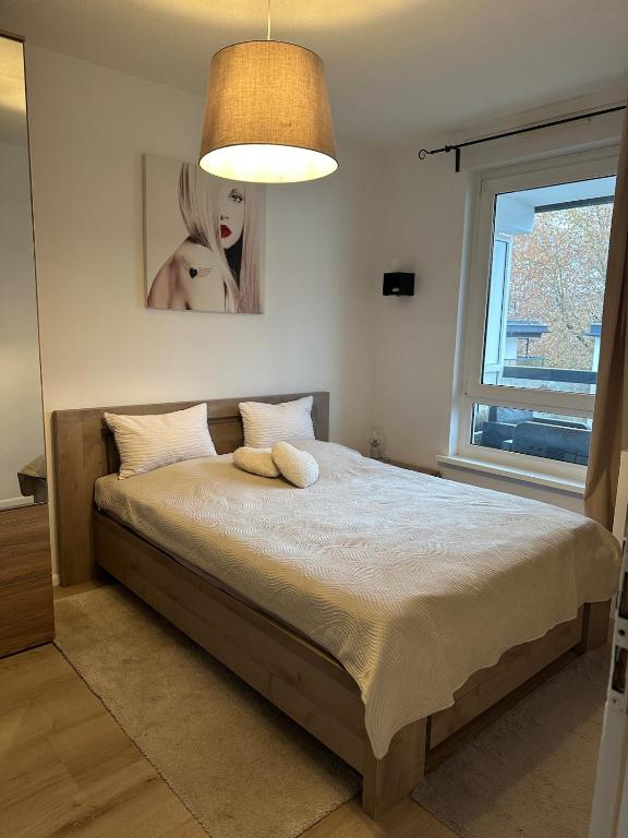 F2 Cosy avec Terrasse à deux pas du centre de Mulhouse – photo 2