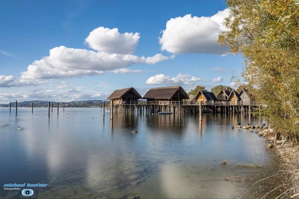 BermatingenにあるSpatzennest am Bodenseeの水上の桟橋の一群