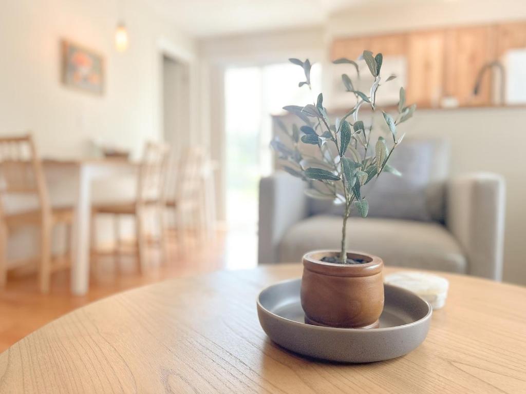 een potplant op een tafel bij Paradise Creek Cottage in Moscow