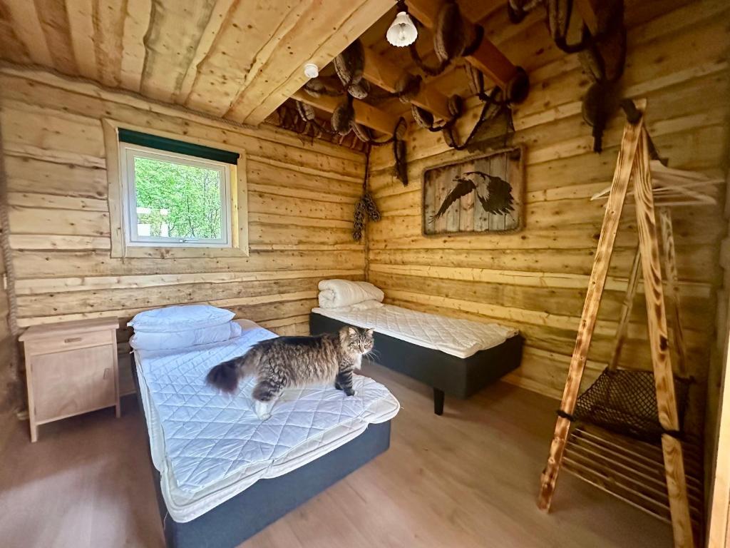 Domácí mazlíčci ubytovaní s hosty v ubytování Nord Retreat Villa