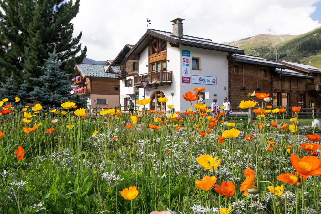 a field of flowers in front of a building at Chalet Irene Livigno in Livigno