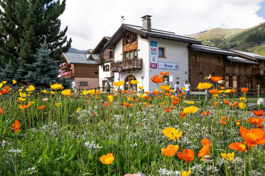 リヴィーニョにあるChalet Irene Livignoの建物前の花畑