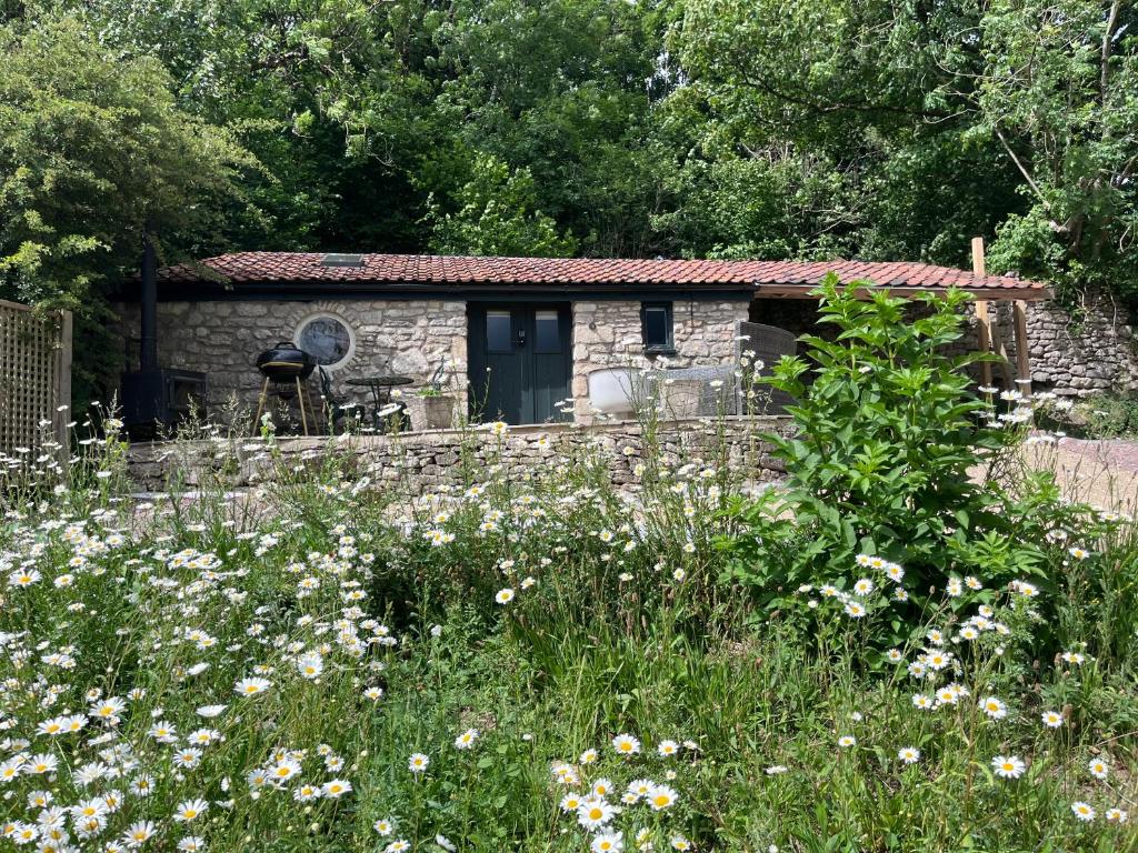 Κήπος έξω από το The Garden Hut