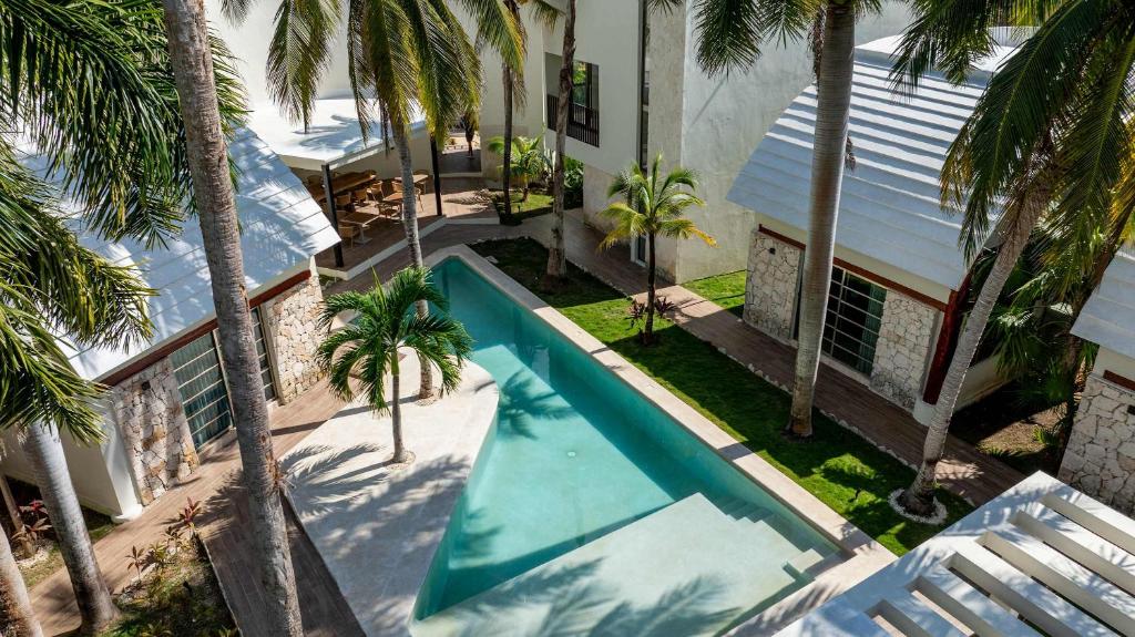 LafitteCasa Palma - 2BR - Pool Palms & Paradise的棕榈树环绕的游泳池的俯视图