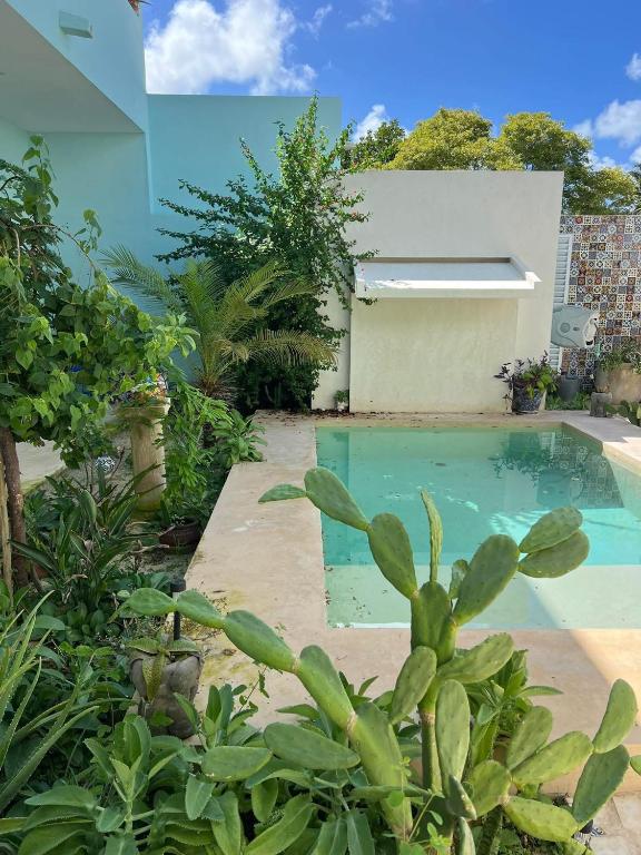 ein Swimmingpool im Hinterhof eines Hauses in der Unterkunft El Oasis in Chelem