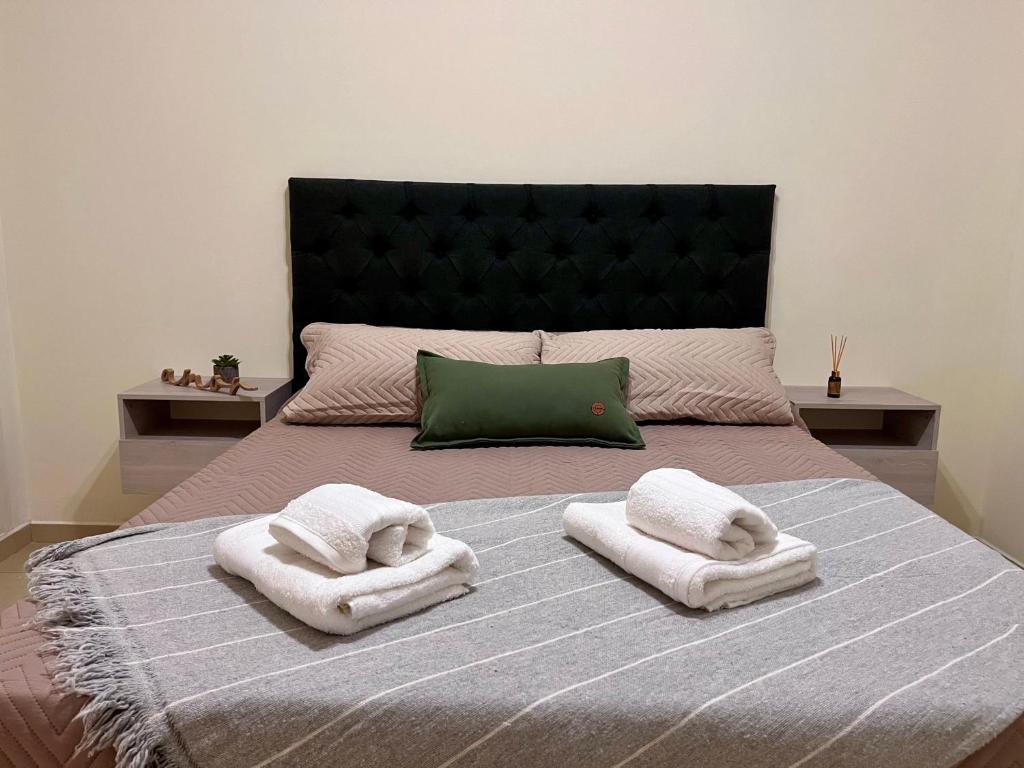 维拉卡洛斯帕兹Departamento céntrico con cochera Muy cómodo cerca de todo的一间卧室，床上有一张带毛巾的床