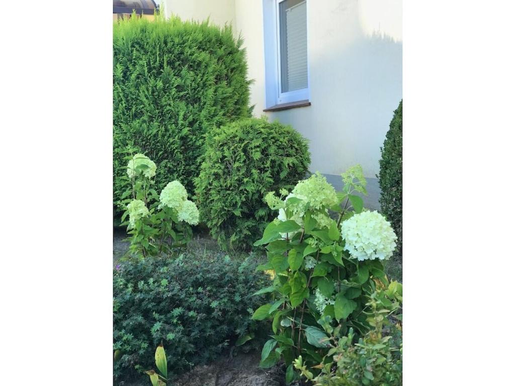 Zahrada ubytování at the gates of Hamburg