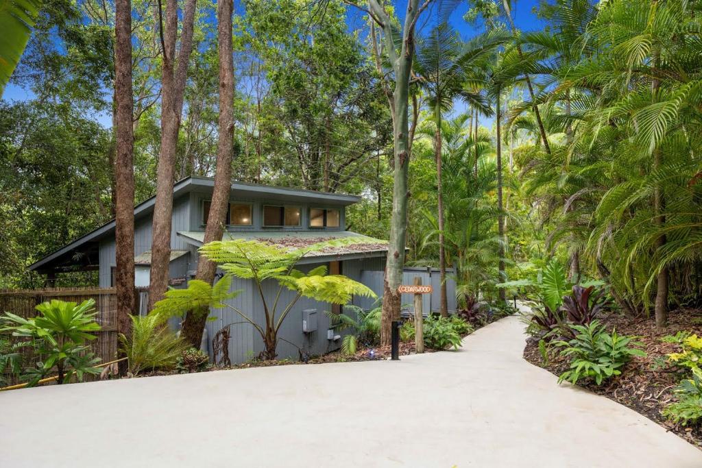 a house in the forest with a driveway at Hunchy Hideaway in Montville