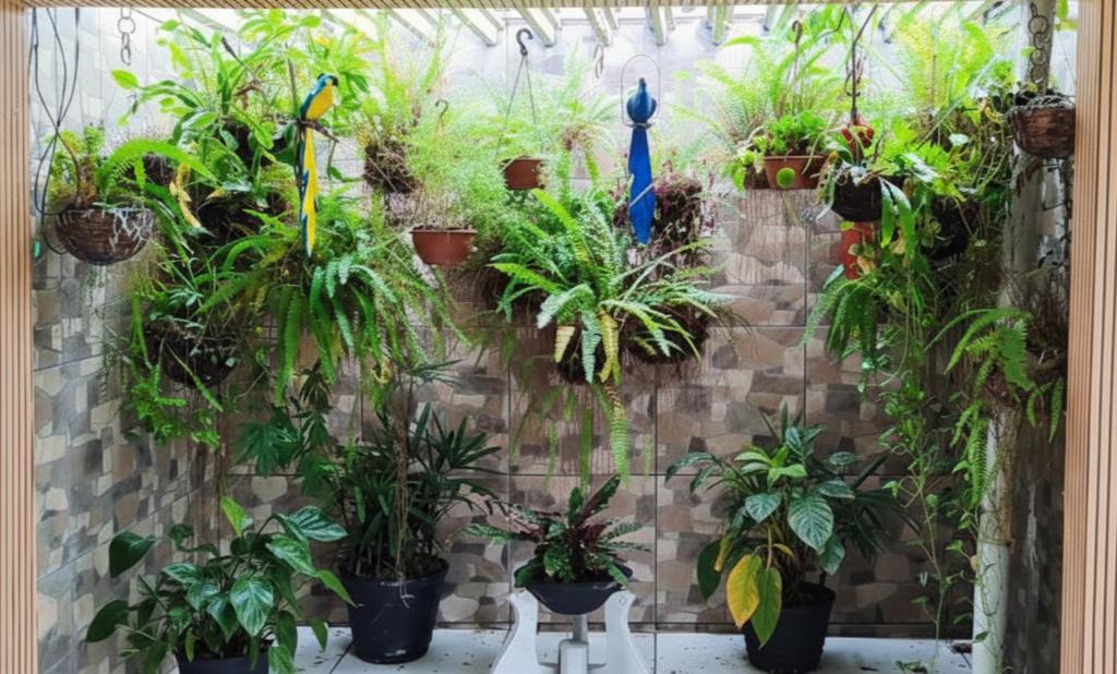 Κήπος έξω από το Garden JP