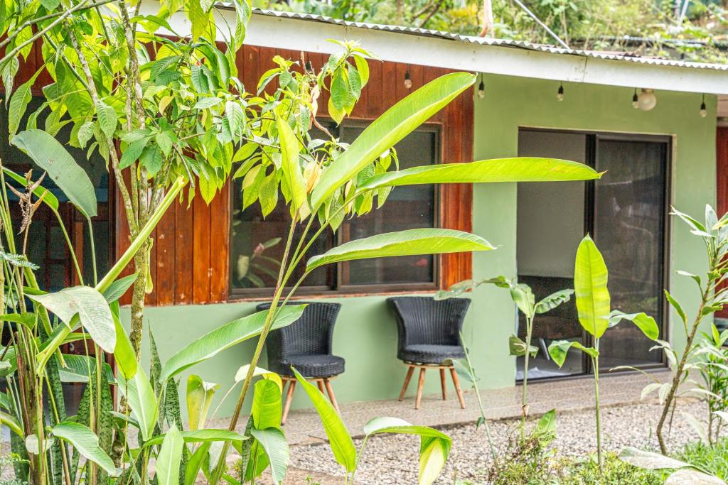 Vườn quanh Jacobin Hostel & Cabins