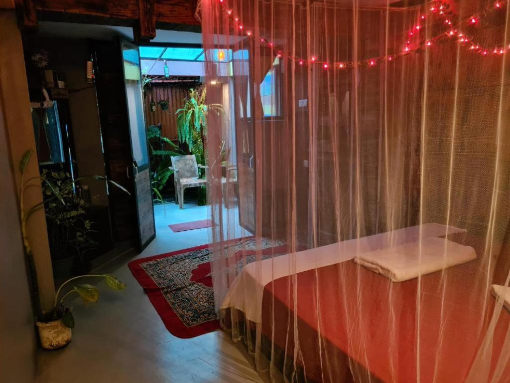 La pinchi " Pinchi's Bed " - 3