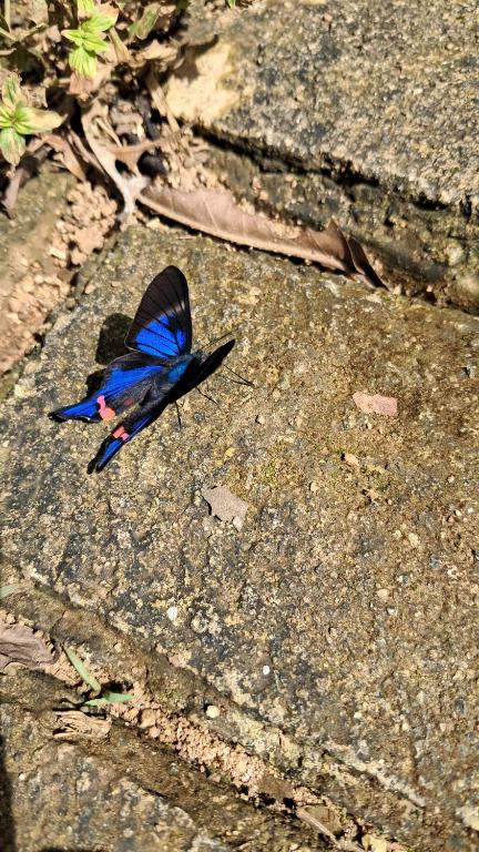 Φωτογραφία από το άλμπουμ του tukamping σε Minca