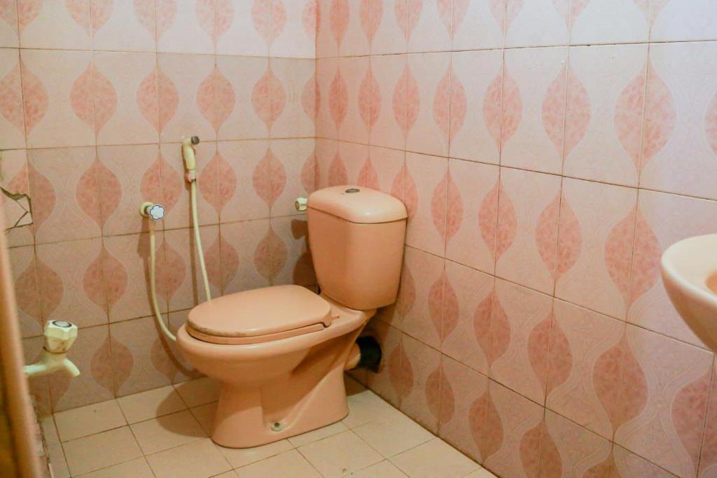 Sagopearl Guest - 13