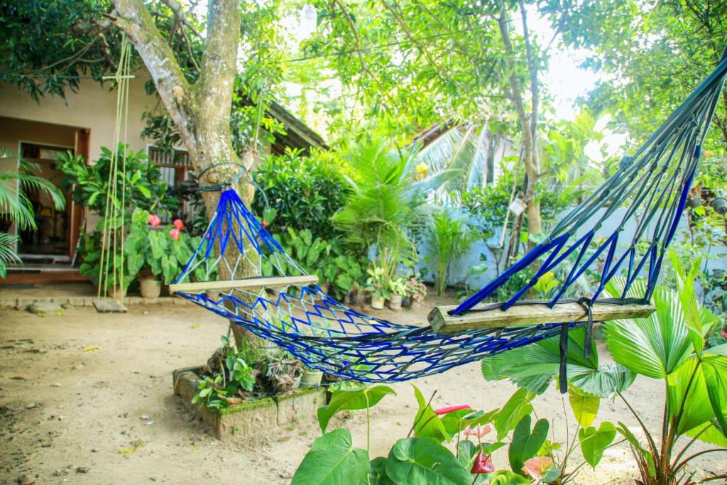 Sagopearl Guest - 14