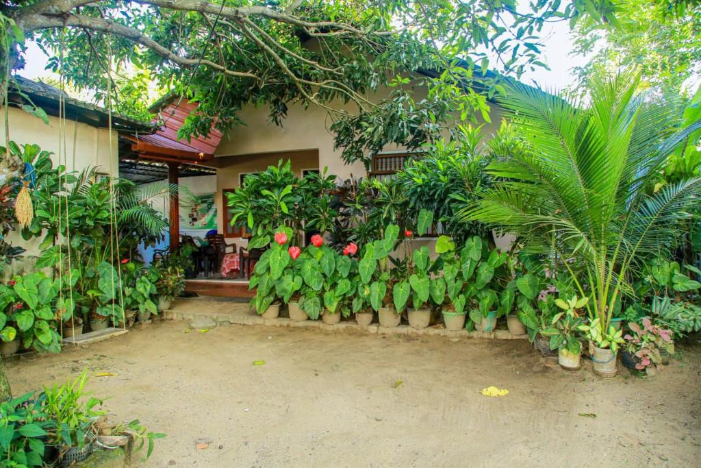 Sagopearl Guest - 16