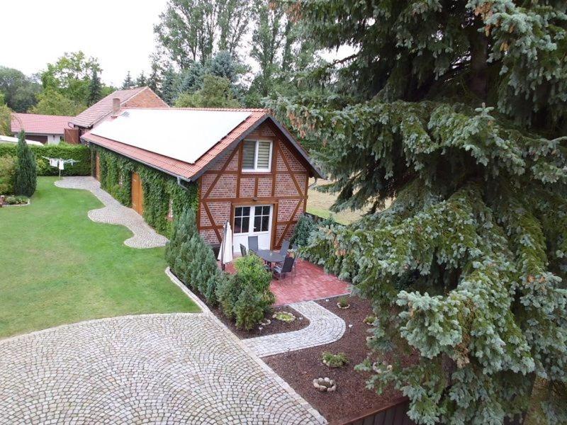 O grădină în afara Ferienwohnung Buschmühle Schlepzig