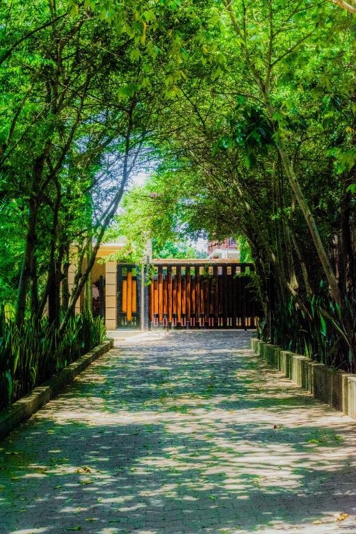 a path leading to a building with trees on the sides at Sunset Retreat Hotel in Arusha