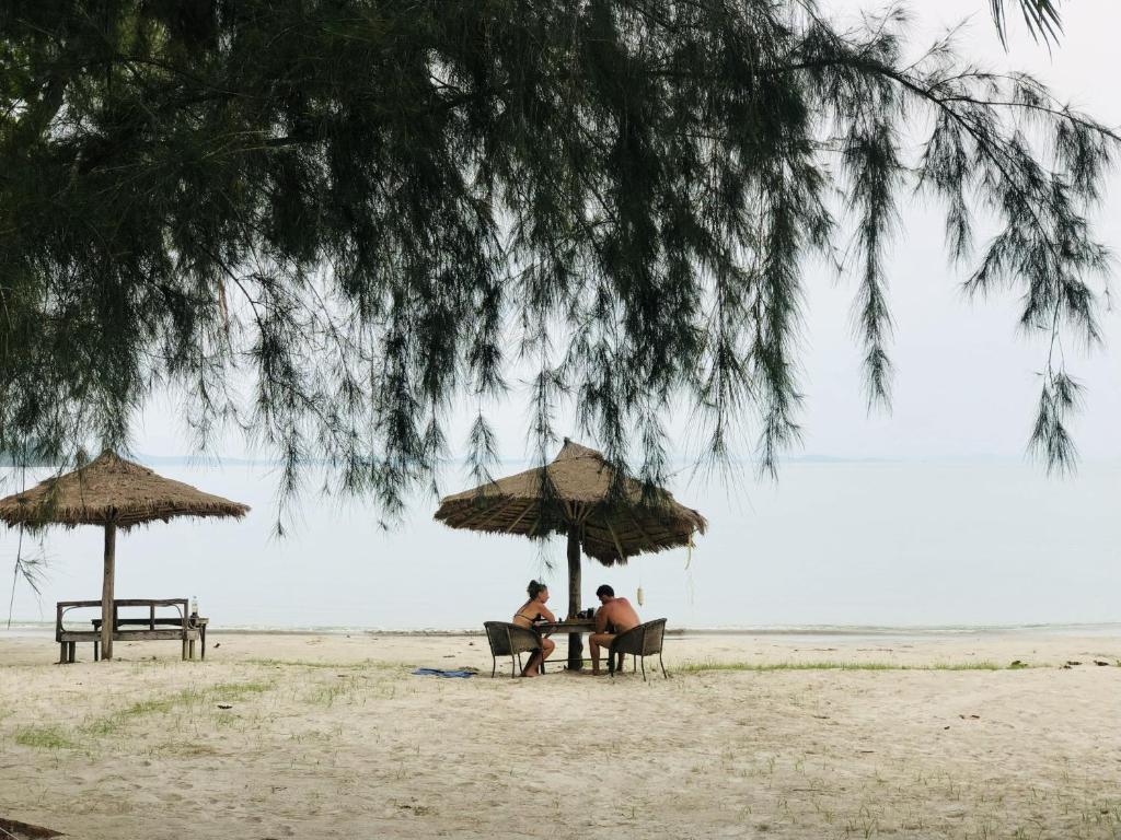 Příroda nedaleko hostelu