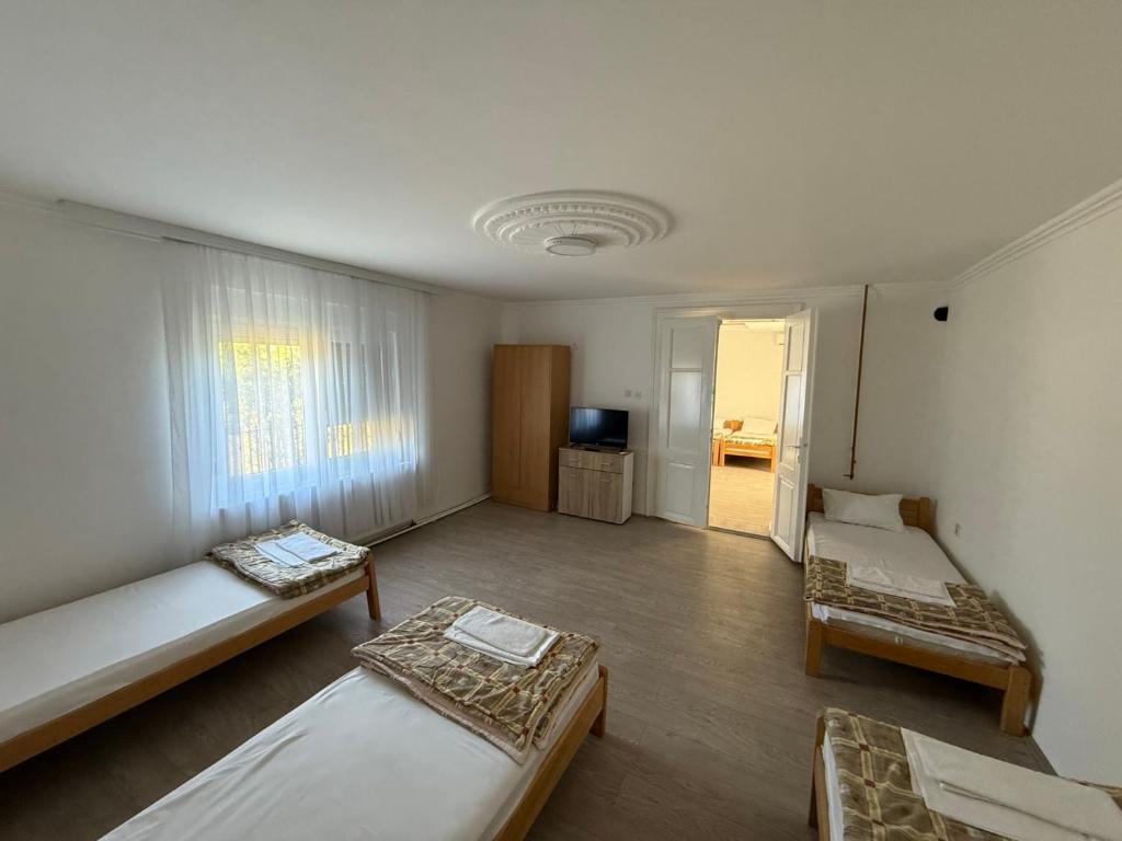 a large room with two beds and a television at Guest house Dunavac in Kovin
