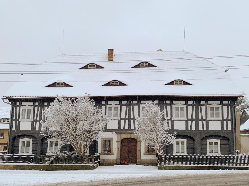Ferienwohnung und Pension Goldberg في غروسشوناو: منزل كبير عليه ثلج