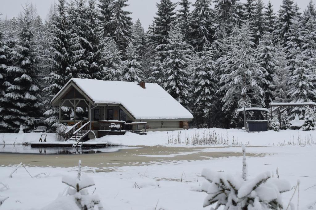 Una cabaña cubierta de nieve junto a un bosque en Pirts "Spārītes", en Geraņimova