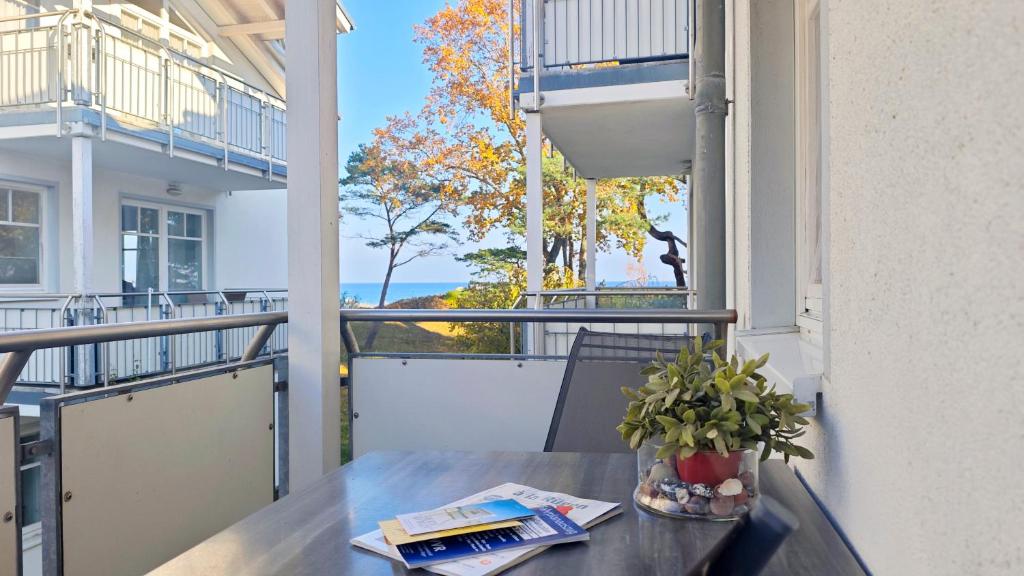 a table with a plant on a balcony at Ferienwohnung Ostseeblick in Breege