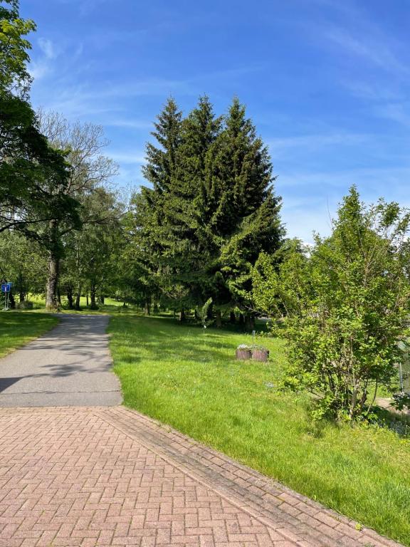 a brick path in a park with trees and grass at Ferienwohnung Furchner in Sayda