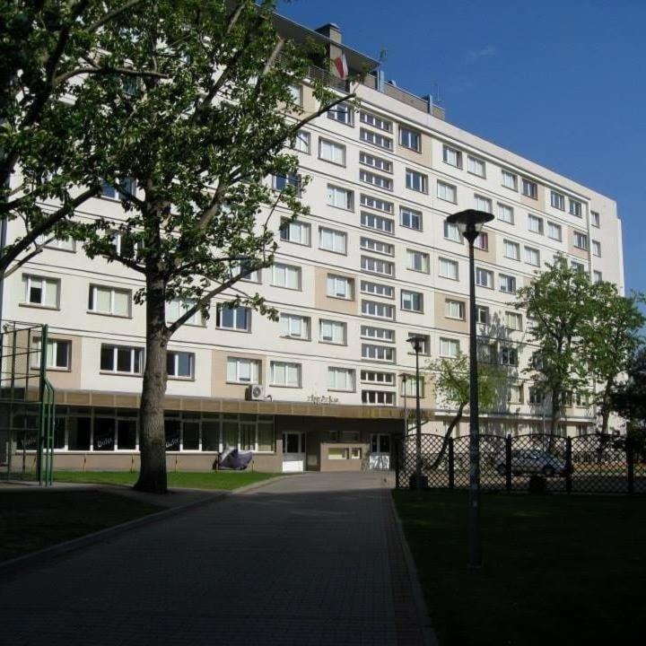 波兹南Dom Studencki Zbyszko的一座白色的大楼，前面有一棵树