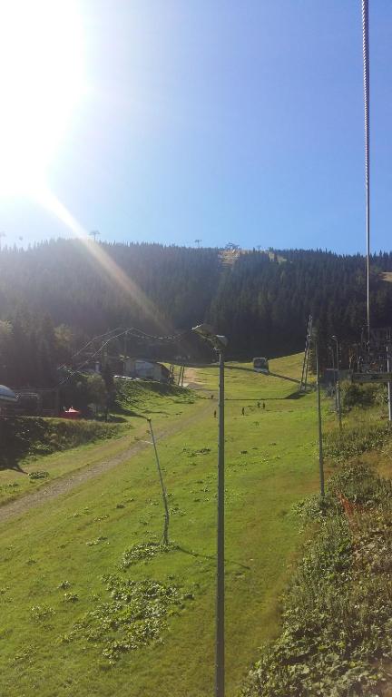 Příroda nedaleko apartmánu