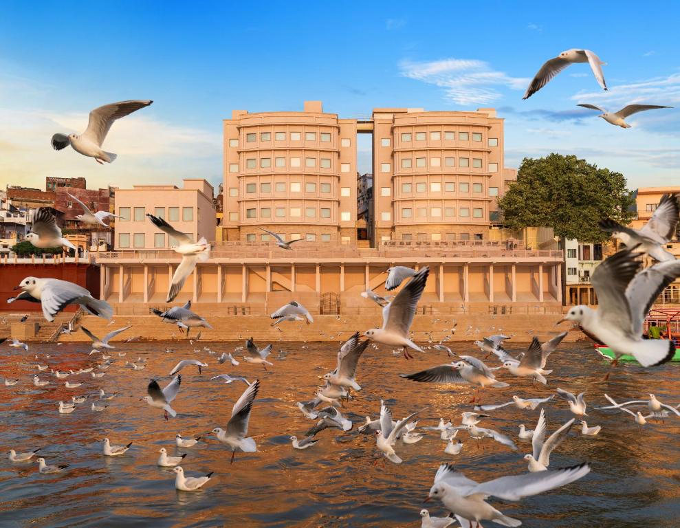 Άλλα ζώα σε αυτό το ξενοδοχείο ή στη γύρω περιοχή