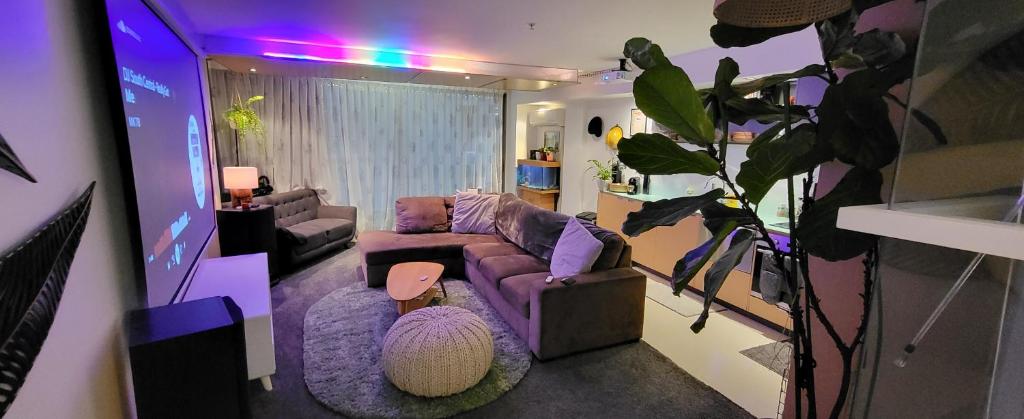 a living room with a purple couch and a plant at Stylish Home within Central Wellington - Free Parking in Wellington