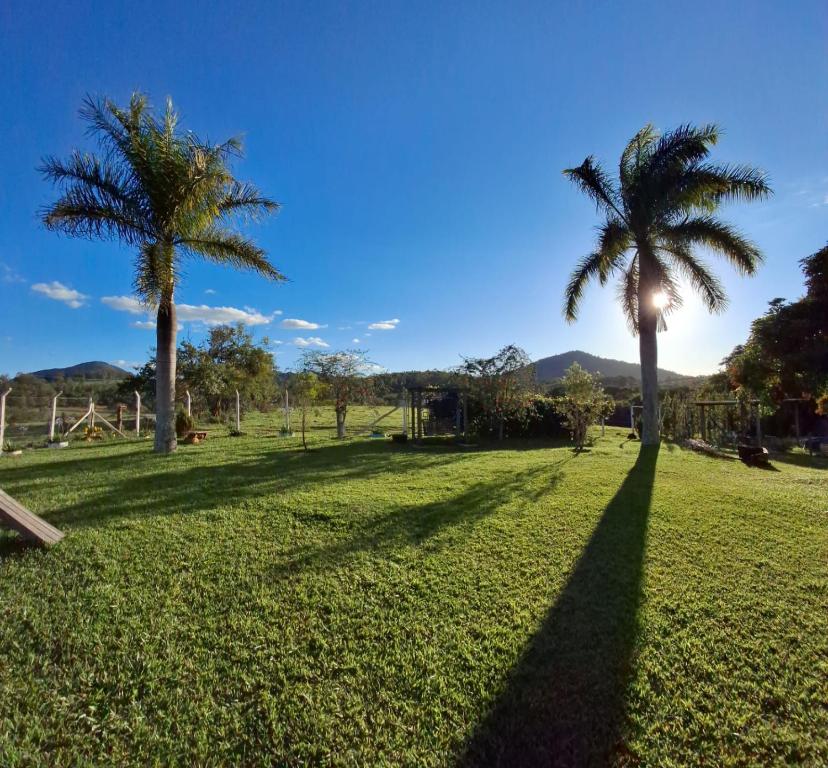 twee palmbomen in een grasveld bij Sítio Cachoeira de Minas in Cachoeira de Minas