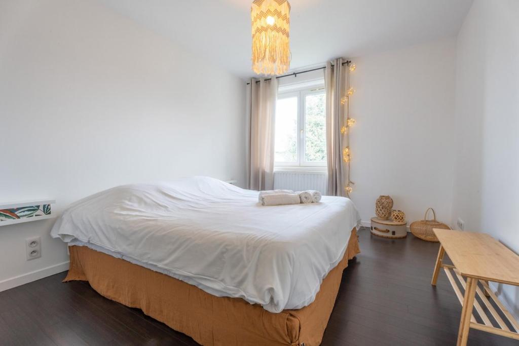 Le Riedisheim Bel Appartement Gare Mulhouse – Foto 2