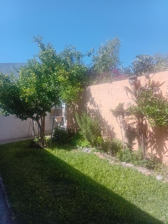 Κήπος έξω από το 463