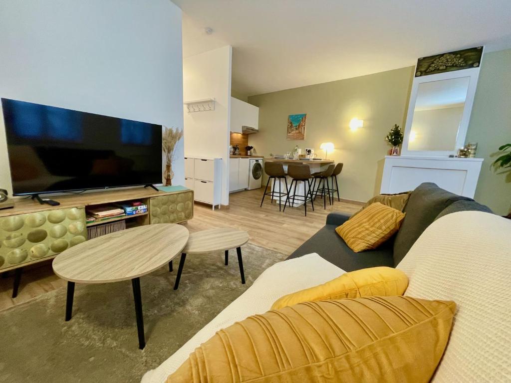 ein Wohnzimmer mit Sofa und Flachbildfernseher in der Unterkunft Les Gîtes de l'ile à Metz in Metz