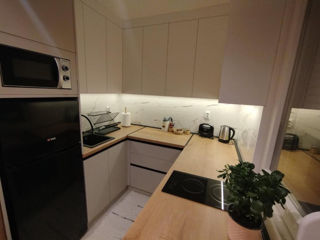 Köök või kööginurk majutusasutuses APARTMAN ANASTASIJA i DANKA