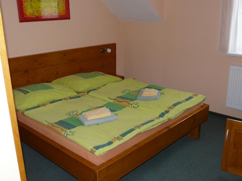 Wellness Penzion Palice - 2