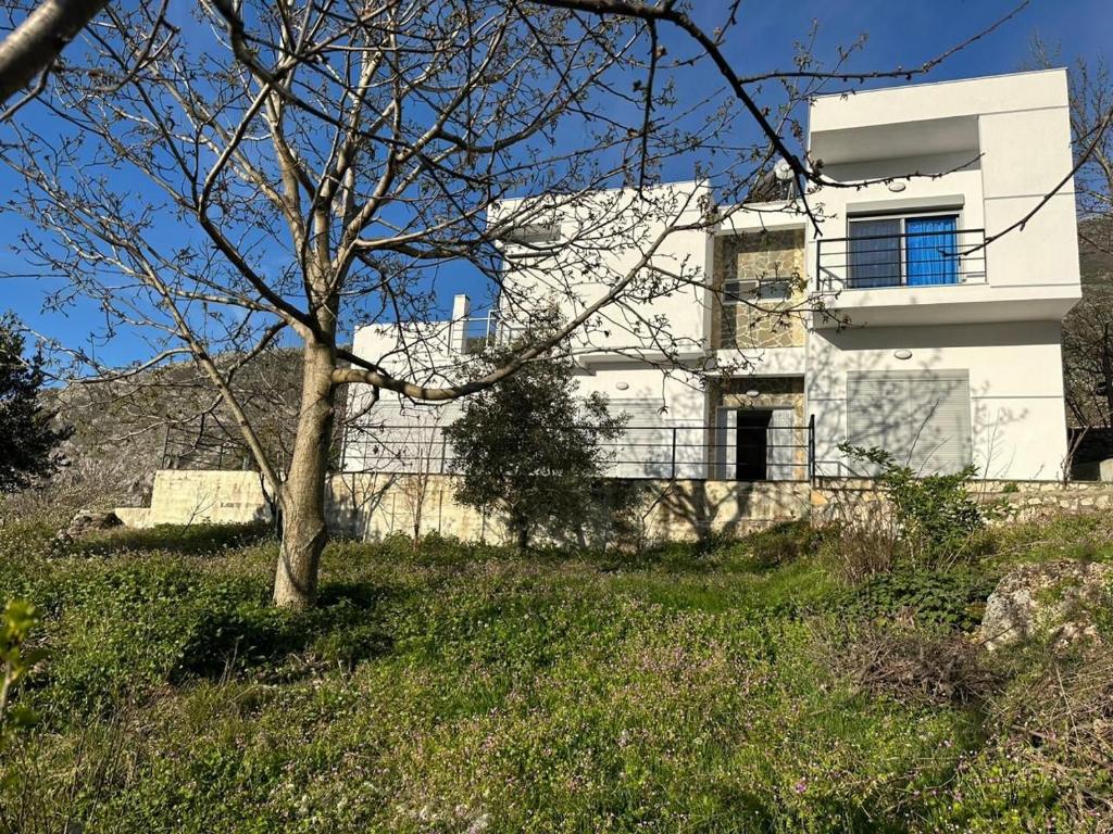 a white building on top of a hill with a tree at Villa Hoxha Tepelen in Tepelenë