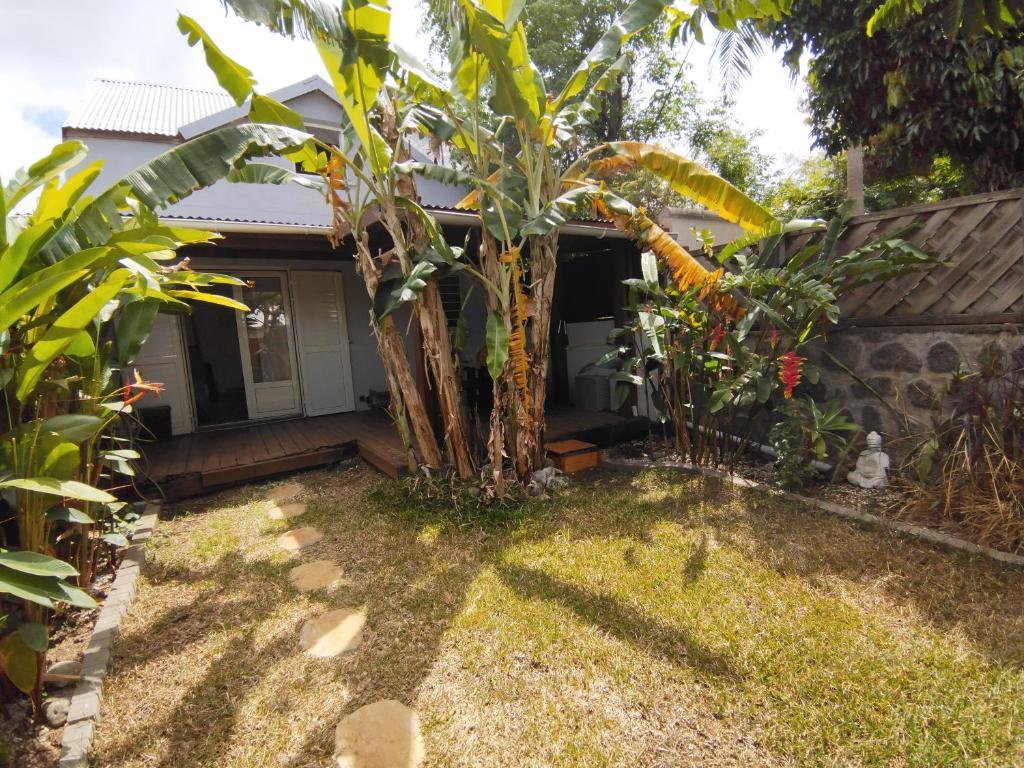 Un jardín con una pequeña palmera delante de una casa. en Ti Kaz Bananier, en Saint-Gilles-les Hauts
