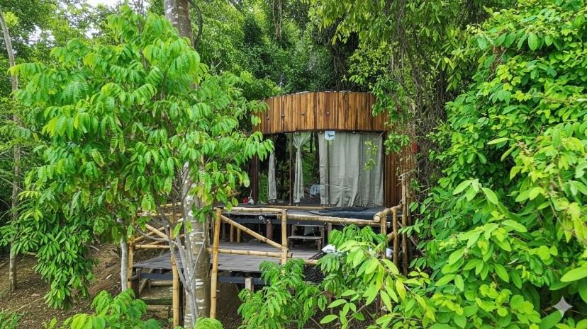 Κήπος έξω από το Dacnis tayrona glamping