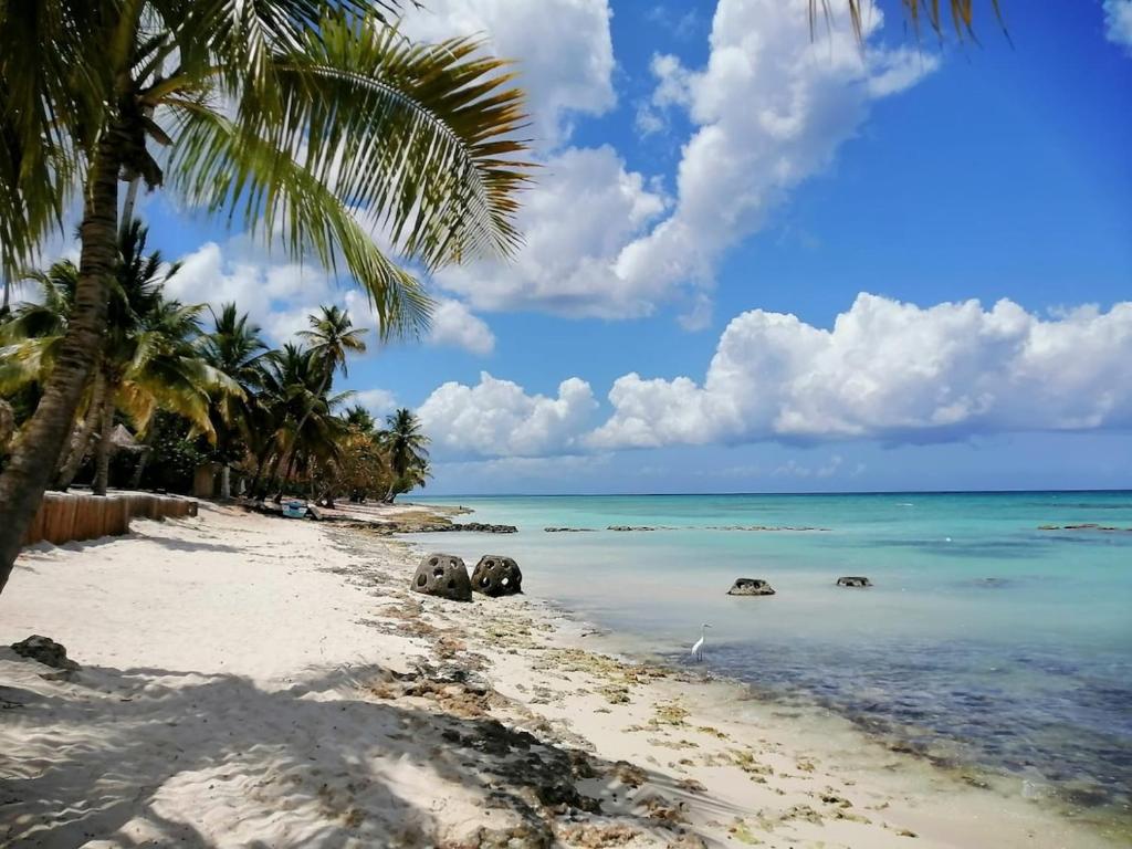 a beach with palm trees and the ocean at APARTAMENTO EXCLUSIVO Villa Privada Flamboyan in Bayahibe