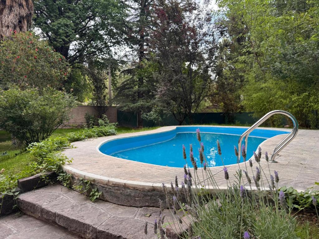 卢汉德库约LA CASONA DE LU的花园内的游泳池,周围设有小径