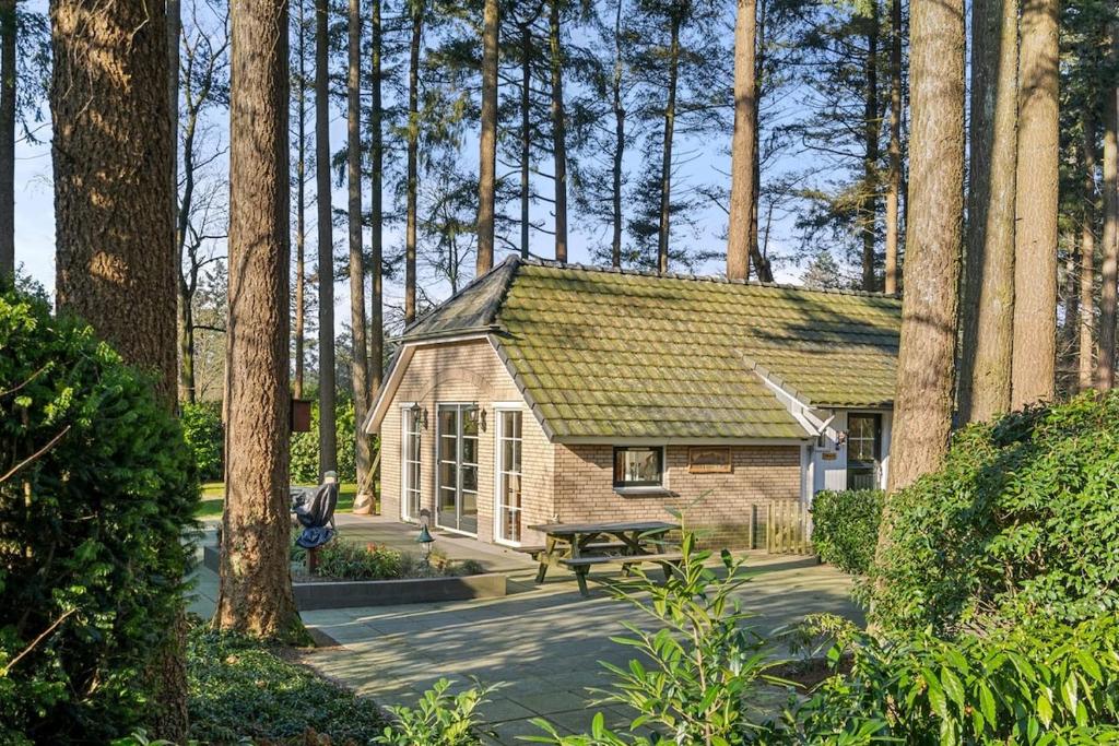 Κήπος έξω από το Rustig Boshuis Lunteren, Veluwe, Tuin en Haard