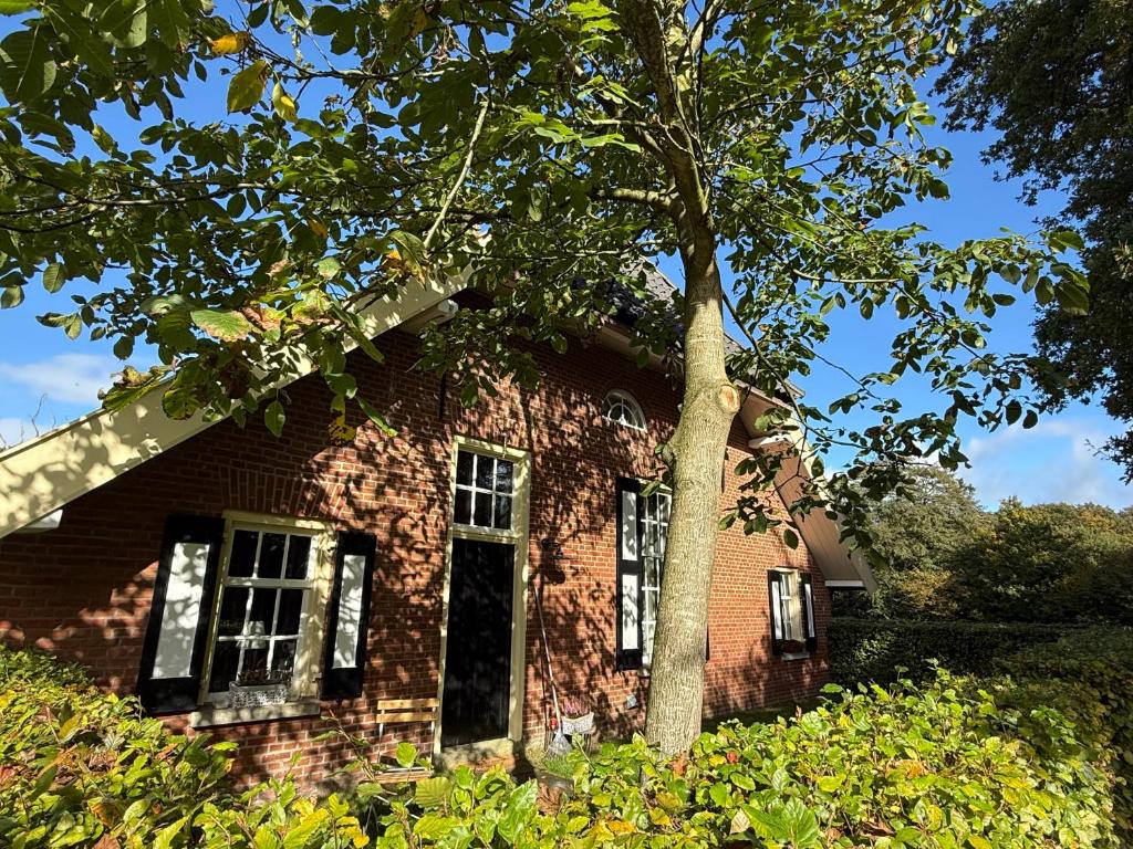 Zahrada ubytování Nanas Scheune